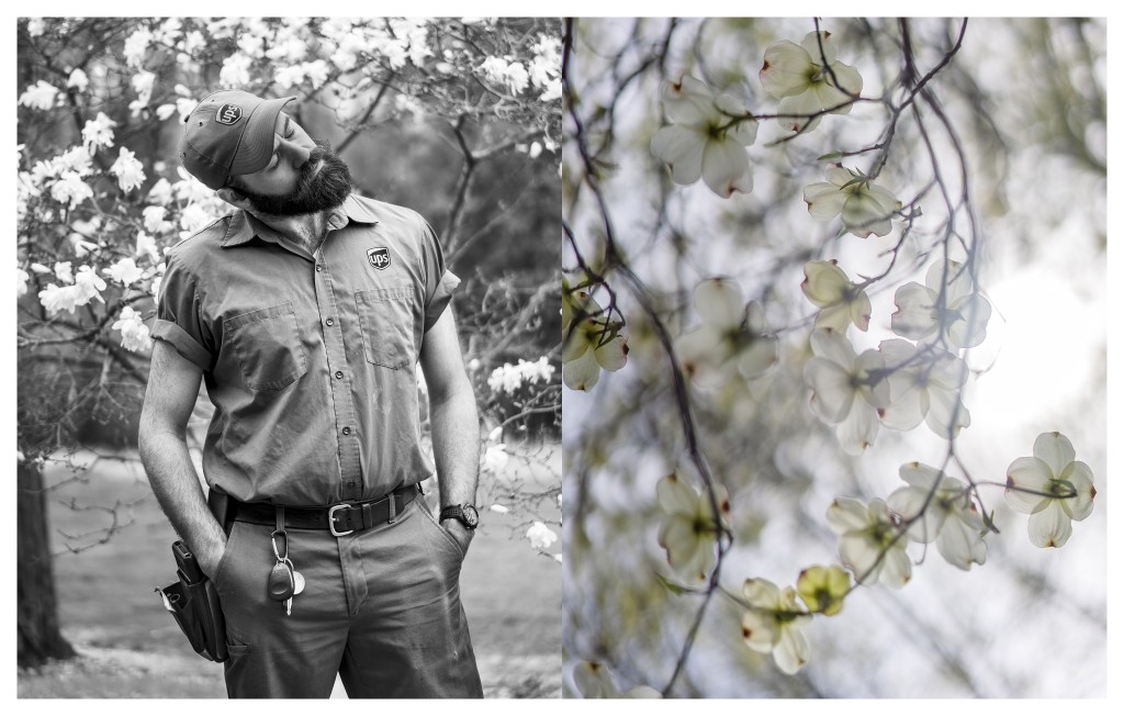 Virginian Dogwood